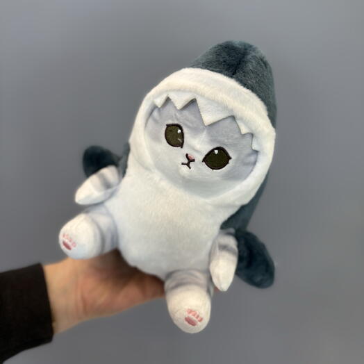 Котенок в костюме акулы