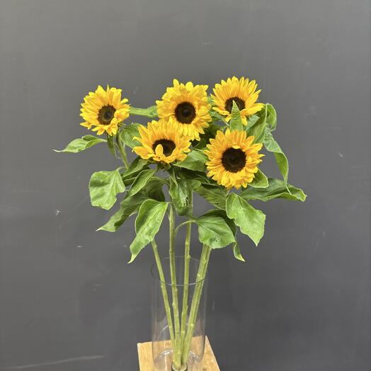 Пачка 5 штук, подсолнух мини