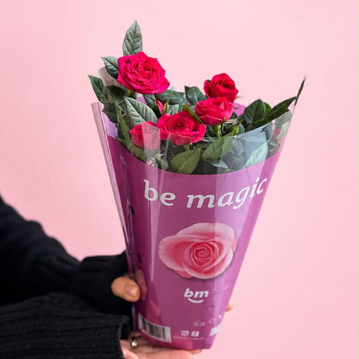 Роза в горшке 🌹