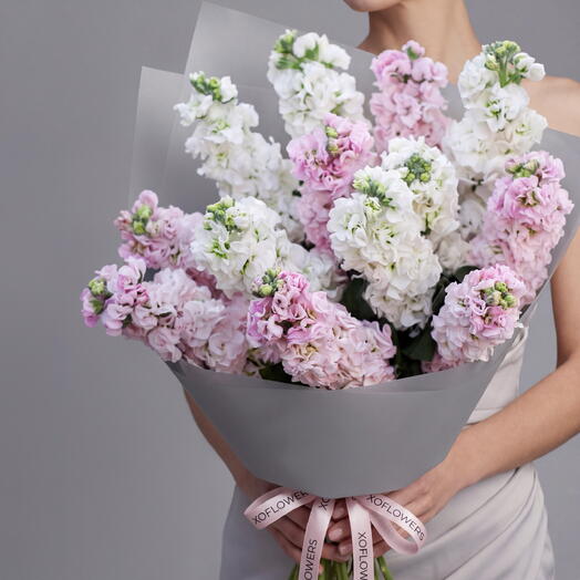 Букет из 13 ароматных маттиол от XOFLOWERS