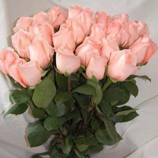 Rose Ecuador 70 cm