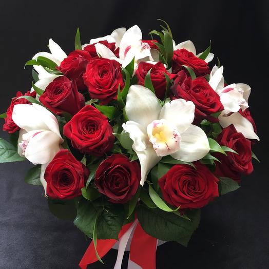 Box red