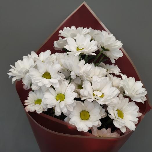 Chamomile