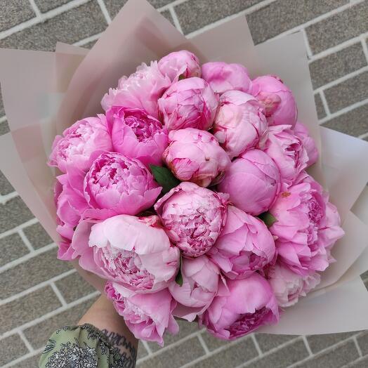 Peony Paradise