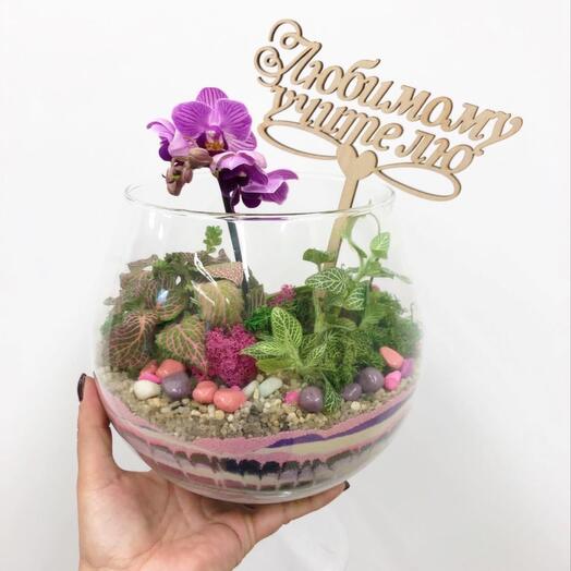 Florarium con orquídea