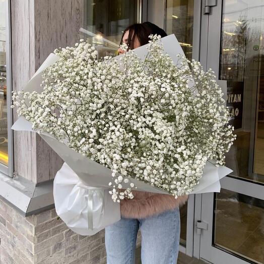 White gypsophila