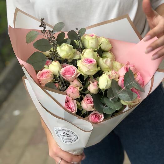 Softness