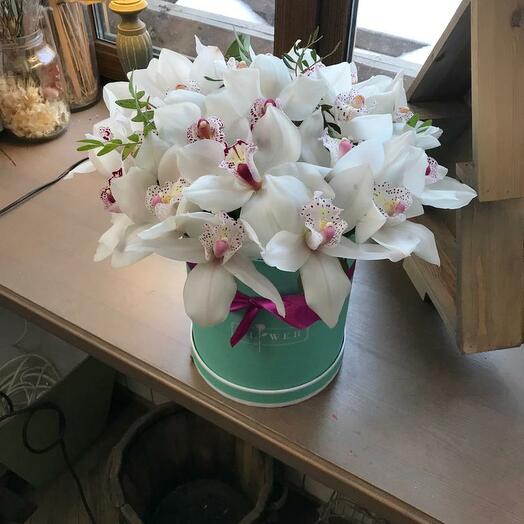 Лавандовые сны