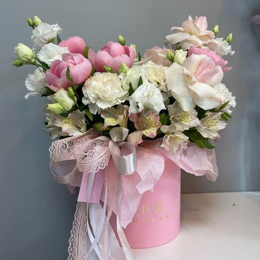 Encanto Coral