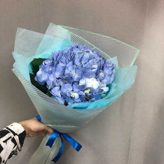 Ramo de hortensias azules