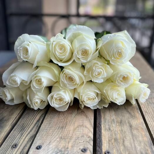 Rosas blancas