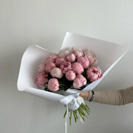 Pink Peonies Modi blue