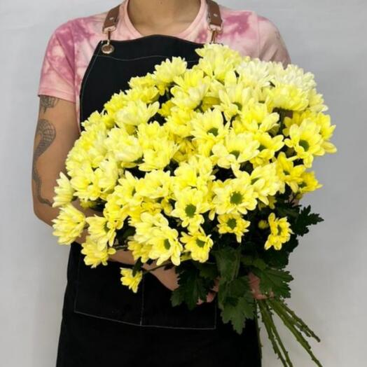 💐Хризантема Бакарди