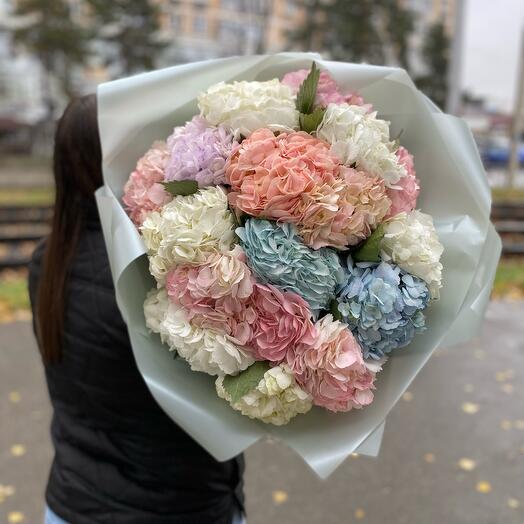 Гортензии шикарные ♥️