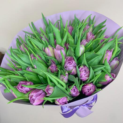 51 tulipanes
