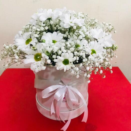 White Chrysanthemum Box