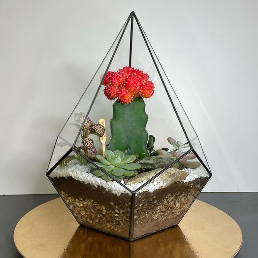 Florarium "terciopelo Rojo"