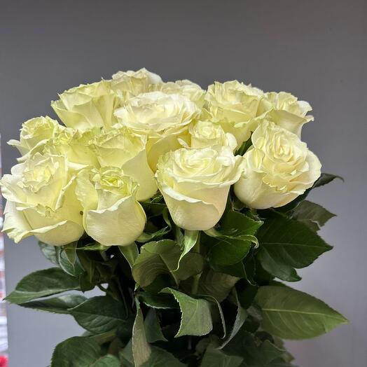 Rosas blancas