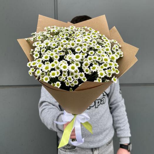Ромашки