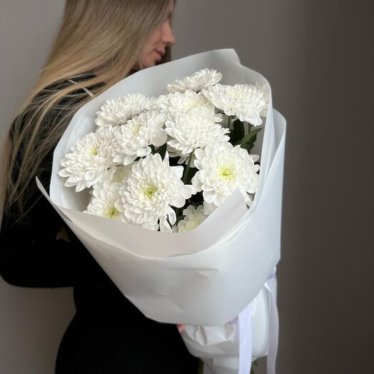 Хризантемы