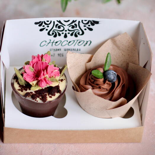 Cupcake and potted flower on March 8th (vegan)