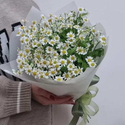 Букет Ромашек