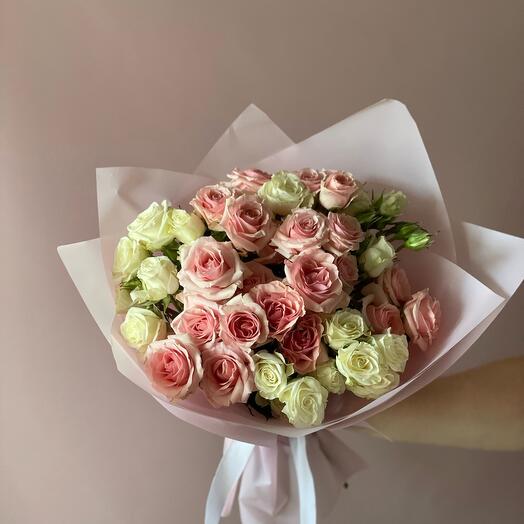 Rosas arbustivas mezcla Suave