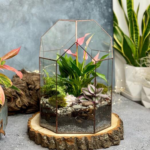 Florarium "Jungle" - 194