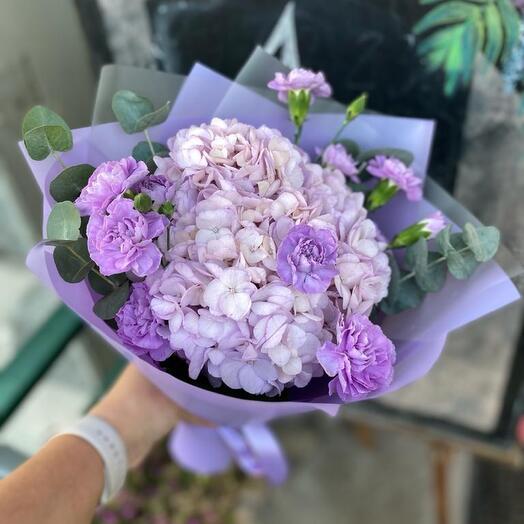 Лавандовые сны