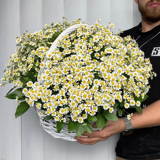 51 Ромашка в Корзине 😍