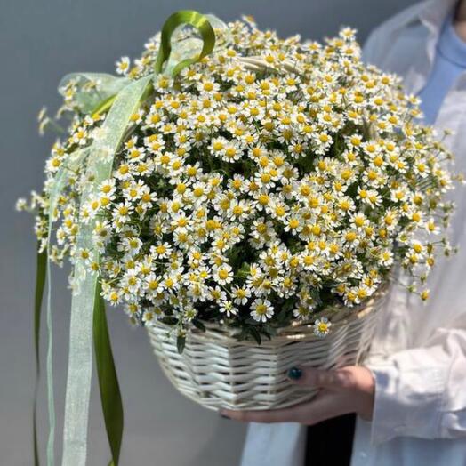 Корзина с ромашками 21