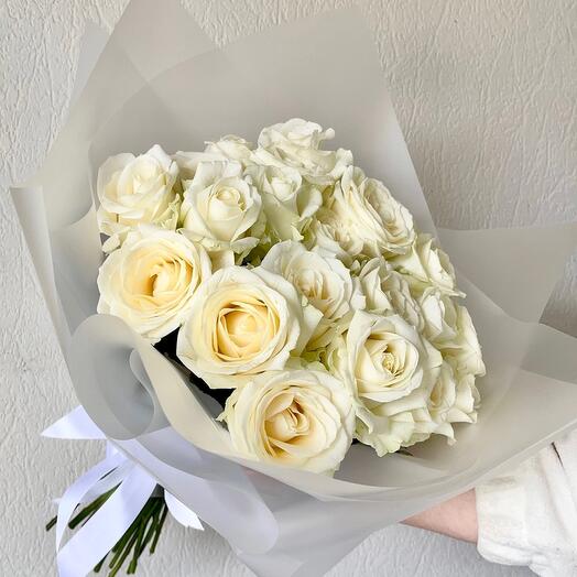 White rose avalange