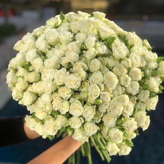 Bouquet of white bush roses 101