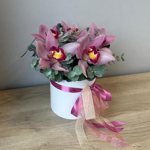 Орхидея в коробке