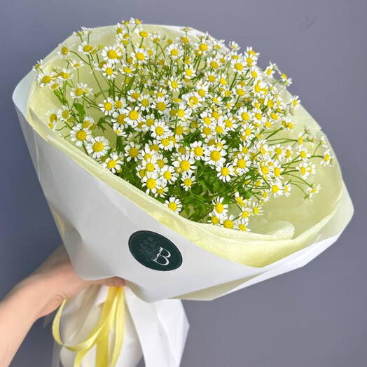 Букет с кустовыми ромашками