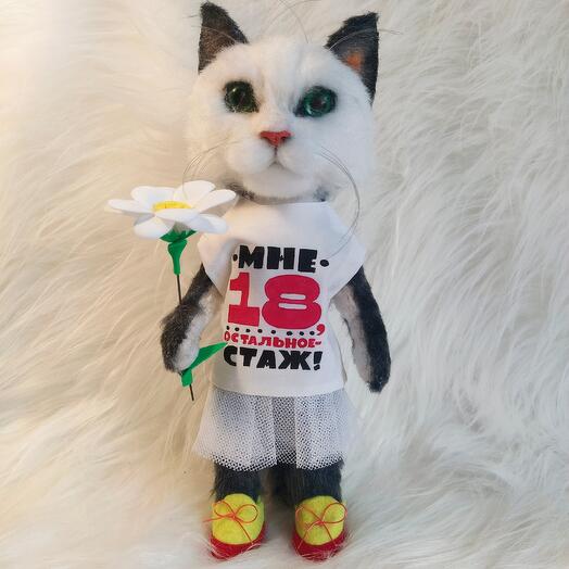 Кошка "Мне 18,остальное-стаж"