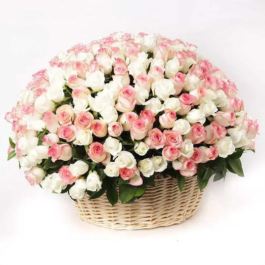 Grand Affection: 151 White Roses, 150 Sweet Revival Roses in a Grand Handle Basket