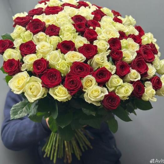 101 Роза Голландская