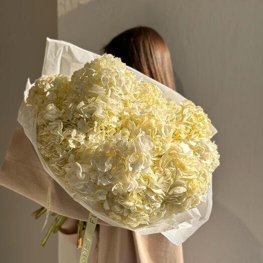 Букет из гортензий «Белое очарование»