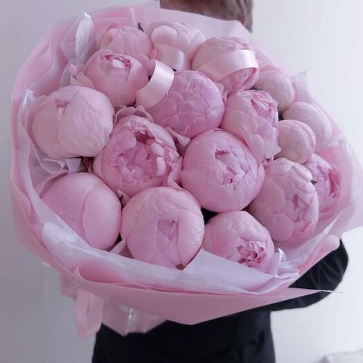17 пионов розовых