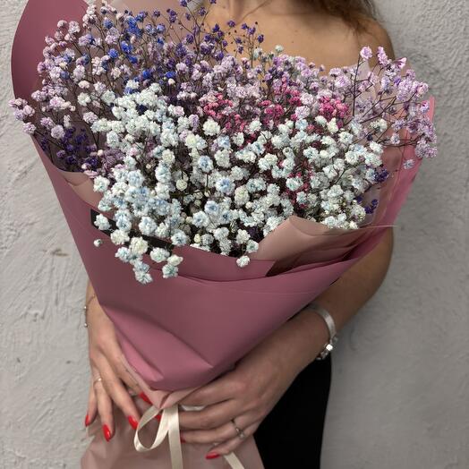 Ramo de gypsophila de color