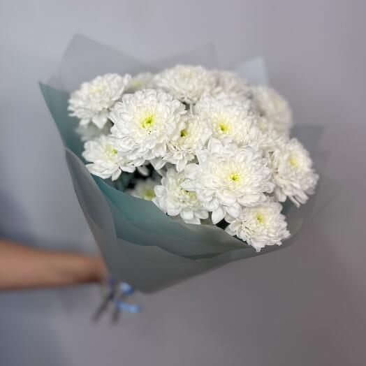 Snow-white bouquet of fluffy bush chrysanthemums