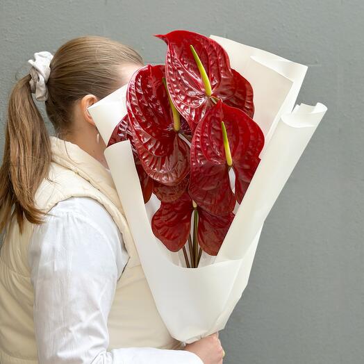 Антуриум Red Love ️