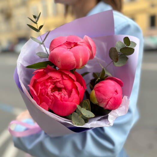 Комплимент из пионов Coral Charm (меняют цвет)