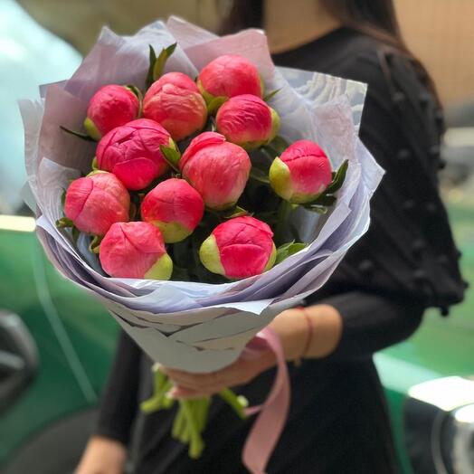 Пионы коралловые 11 ярких пионов