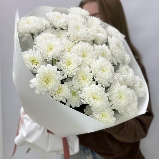 Mono of 7 bush chrysanthemums