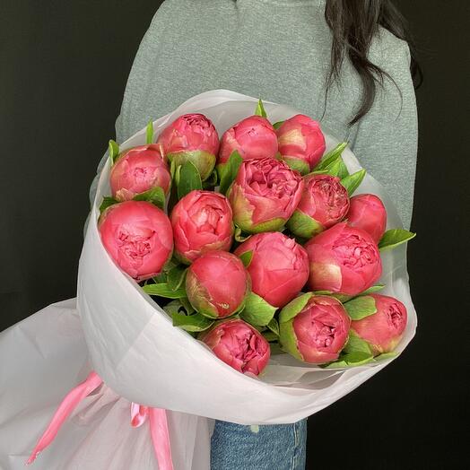 Коралловые пионы