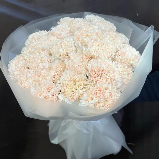 Bouquet of 25 pieces of dianthus