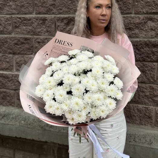 Хризантема Алтай