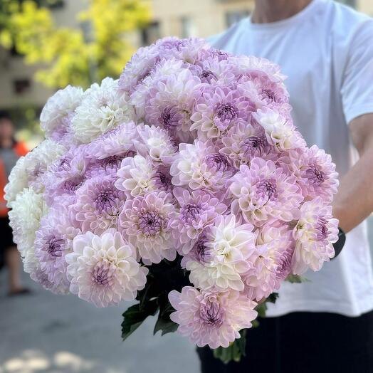 Большой букет георгин 39 шт
